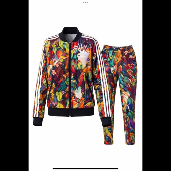 Adidas Originals Trefoil Track Suit Tropical Bird Print Jacket Pants Small OG - Picture 2 of 16